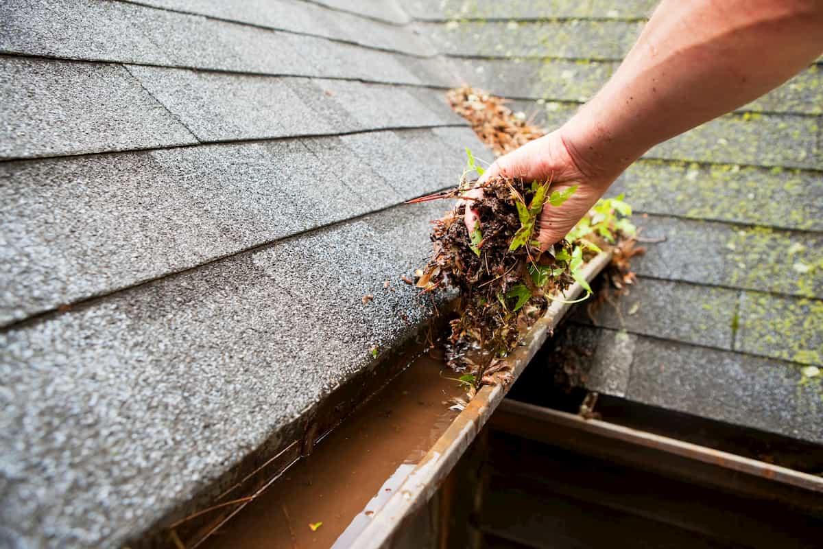 GOTOHomeServicesGutterCleaning1