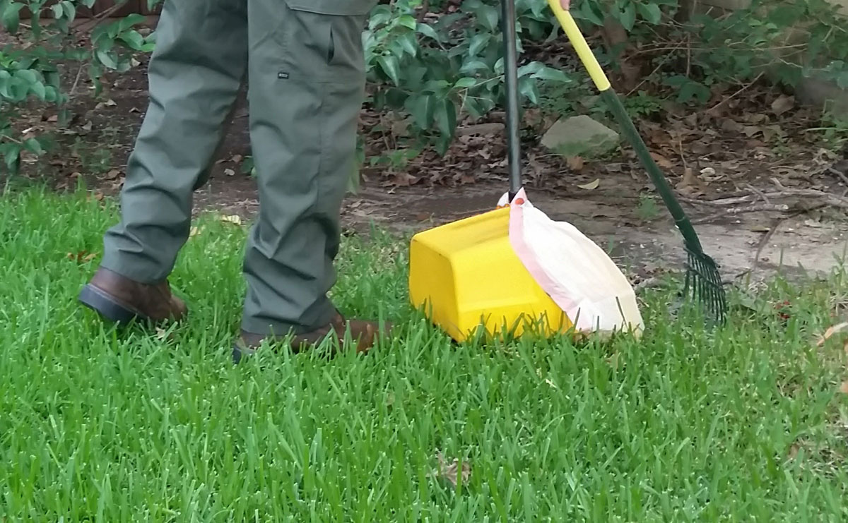 GOTOHomeServicesPetWasteRemoval1