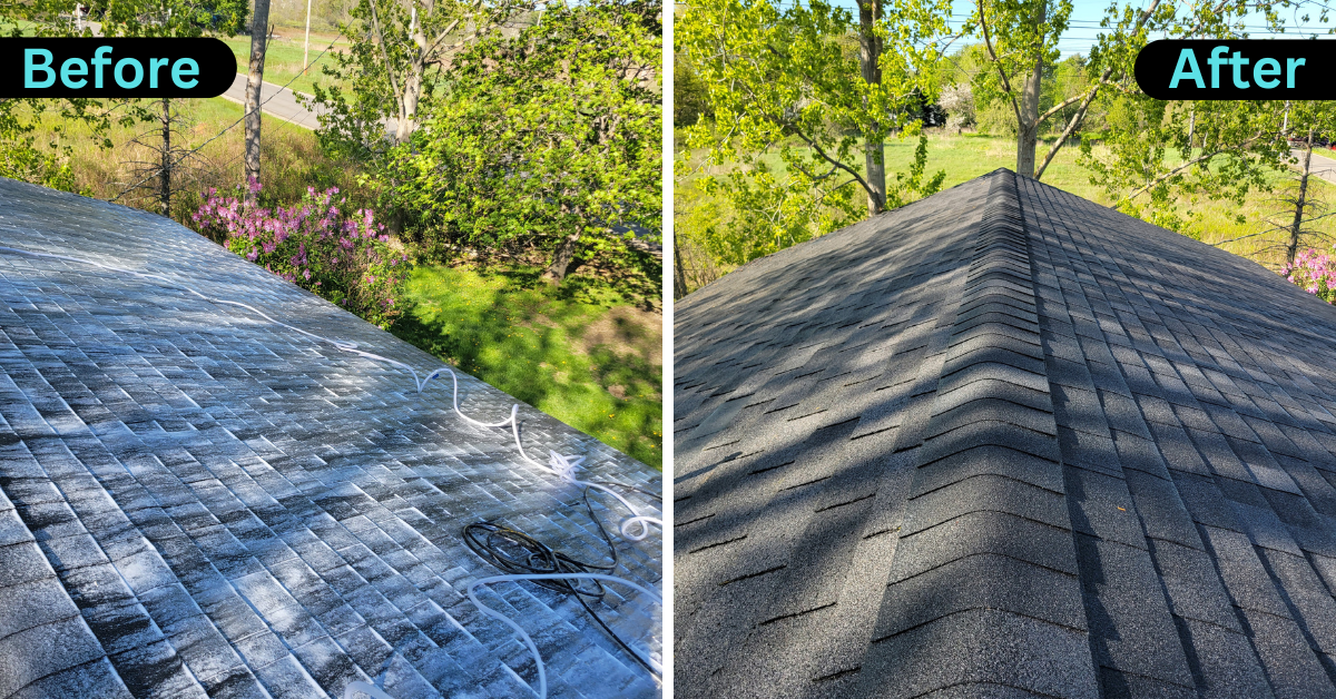 GOTOHomeServicesRoofWash1
