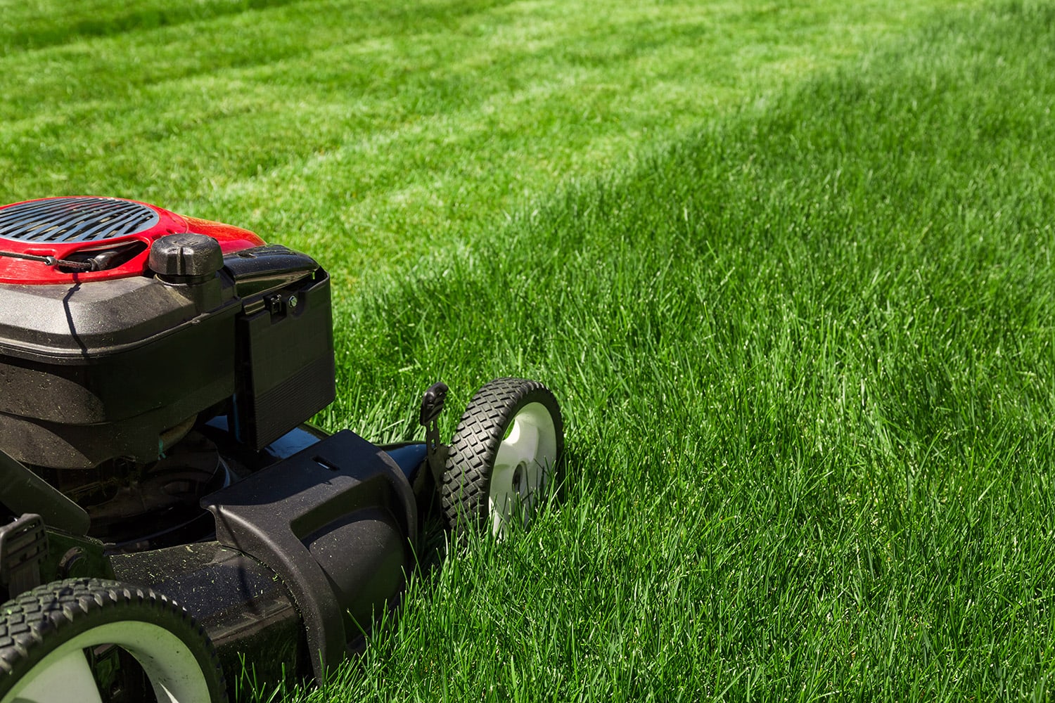 GoToHomeServicesLawnCareGrassCutting1