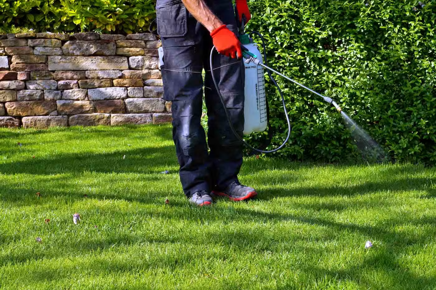 GoToHomeServicesLawnSanitationServices